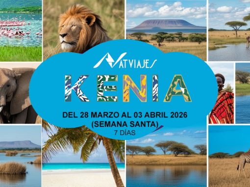SAFARI EN KENIA
